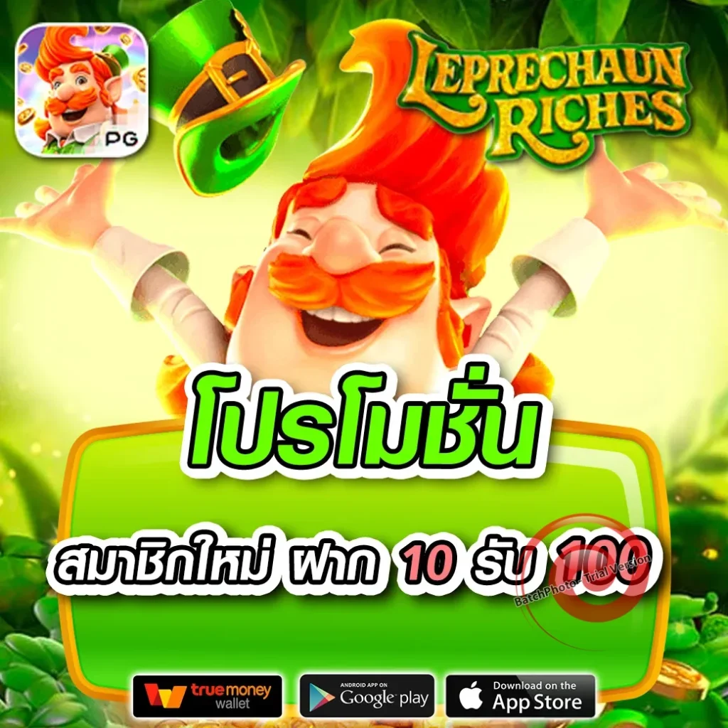 wynn 88rich แตกบ่อย